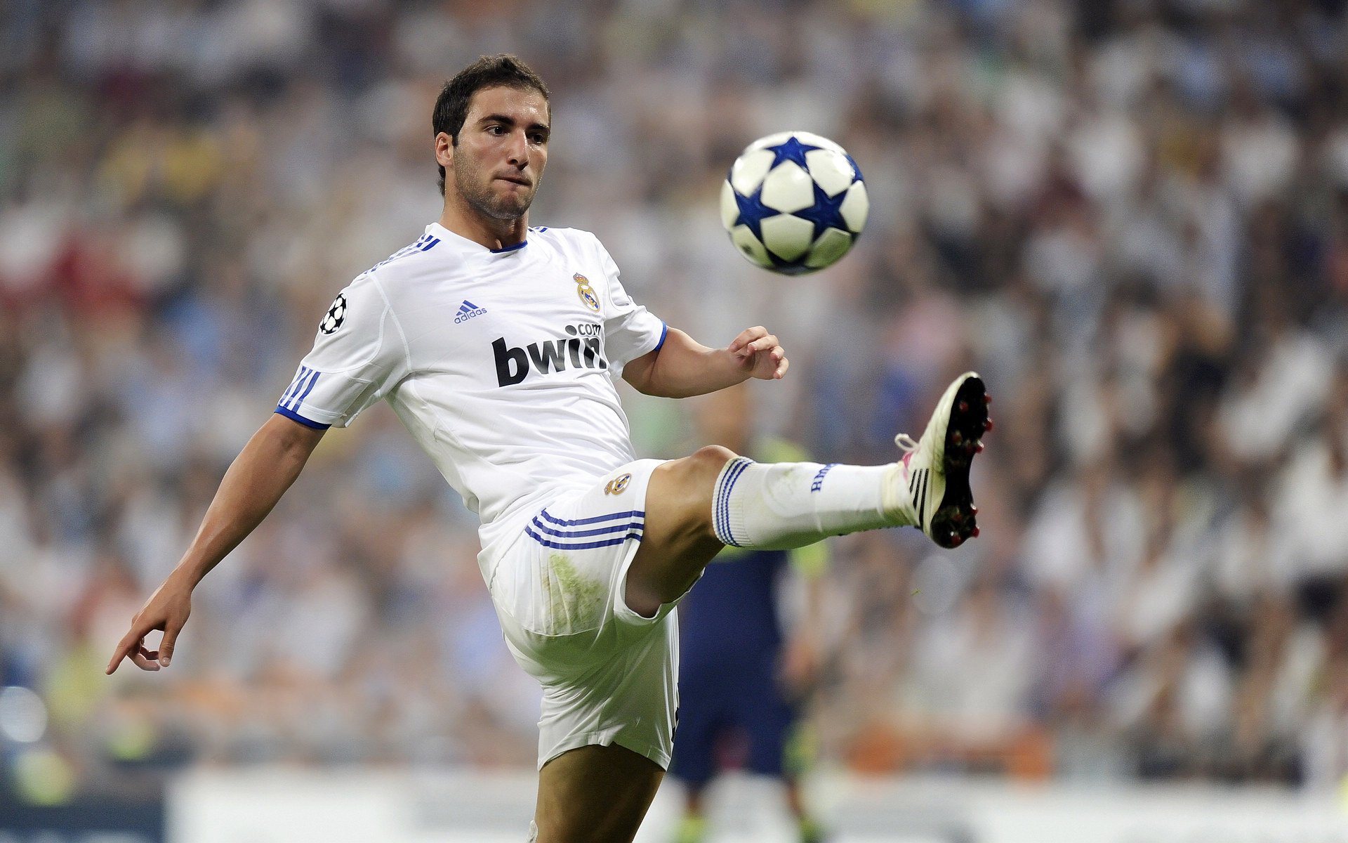 亚冠联赛中国足球战胜 球员配合日益默契,中国亚冠球队一览